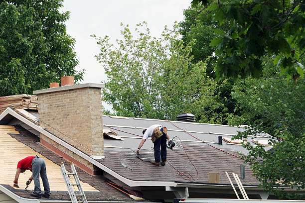 Best Metal Roofing Contractor  in Elfers, FL