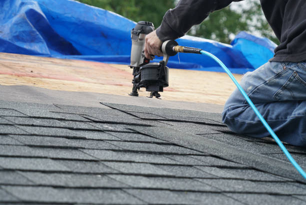 Best Local Roofing Companies  in Elfers, FL