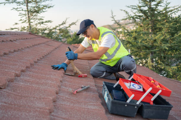 Professional Roofing Contractor in Elfers, FL