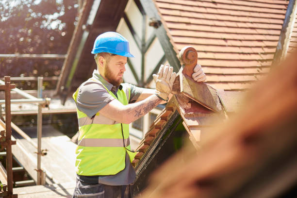 Quick and Trustworthy Emergency Roof Repair Services in Elfers, FL