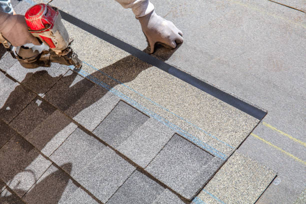 Best Roof Restoration Services  in Elfers, FL